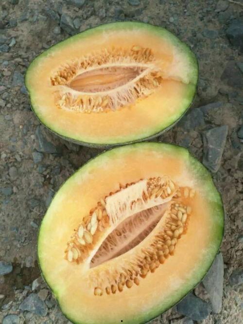 打电话吃瓜,揭秘娱乐圈幕后故事