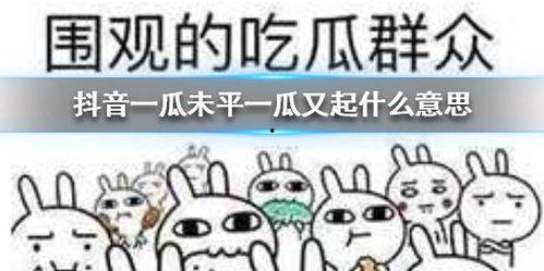 抖音电台吃瓜,揭秘娱乐圈那些吃瓜背后的真相