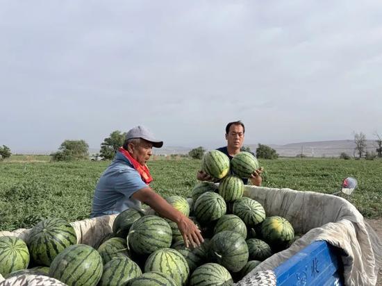 辽宁师范吃瓜,揭秘校园里的那些事儿