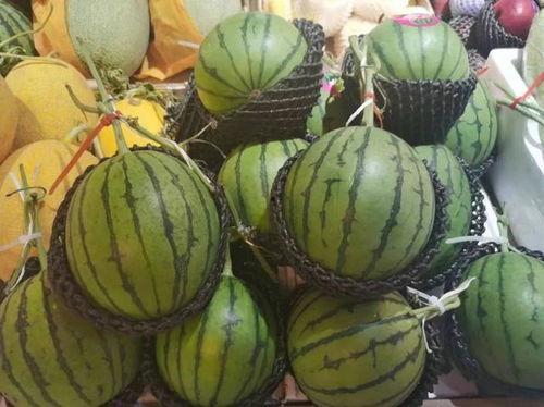 辽宁师范吃瓜,揭秘校园里的那些事儿