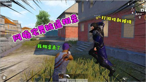 无情吃瓜者,揭秘娱乐圈幕后真相