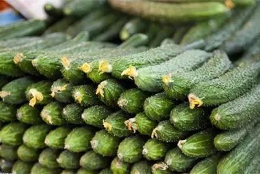 吃花吃瓜,探寻自然美食的奇妙之旅