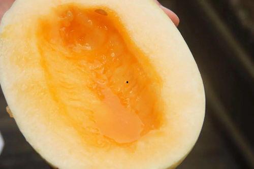 汕头趣味吃瓜,趣味吃瓜盛宴