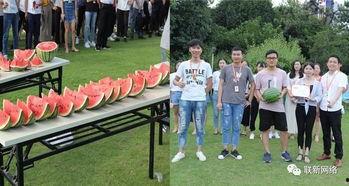 农村吃瓜大赛视频,吃瓜大赛欢乐上演，瓜王争霸一触即发