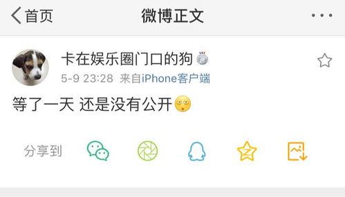 爆料吃瓜群2024,揭秘娱乐圈幕后风云