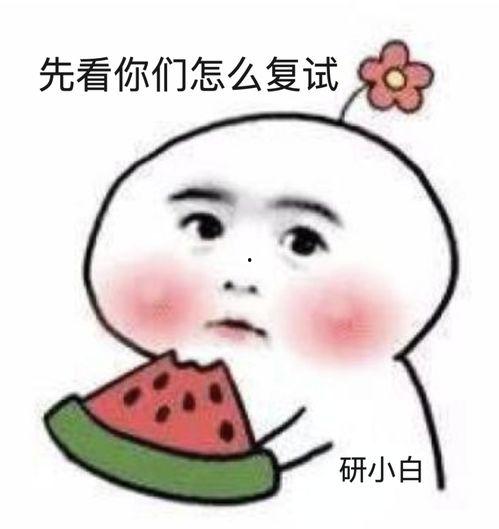 呆瓜吃瓜小说完结了吗,完结篇，瓜田里的甜蜜结局