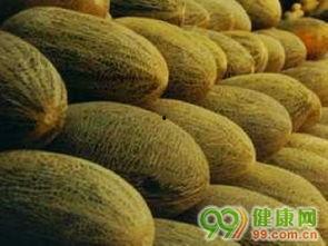 吃哈密瓜后血尿,揭秘夏日水果的潜在风险