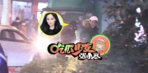 吃瓜重燃,揭秘娱乐圈幕后真相