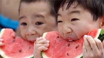 吃瓜人日常,揭秘娱乐圈幕后故事