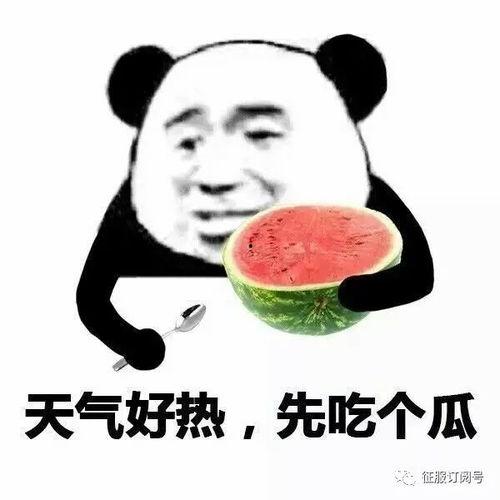 带你吃瓜普耳,揭秘普耳背后的故事与魅力