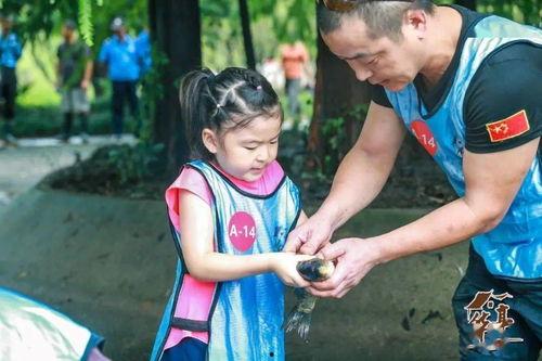 摸鱼跟吃瓜更配,揭秘办公室休闲新风尚