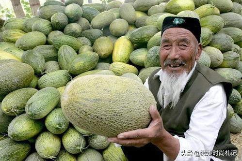 新疆爷爷吃哈密瓜,哈密瓜的诱惑之旅