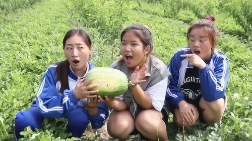 和姐妹吃瓜吗,揭秘娱乐圈那些吃瓜趣事