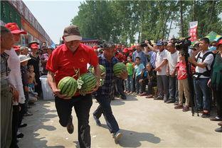 金乡孙庄吃瓜事件视频,一场引发热议的乡村奇观