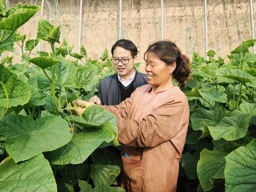 金乡孙庄吃瓜事件视频,一场引发热议的乡村奇观
