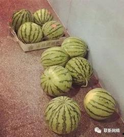 工作群吃瓜,一场职场八卦的狂欢