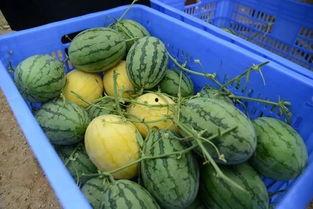 工作群吃瓜,一场职场八卦的狂欢