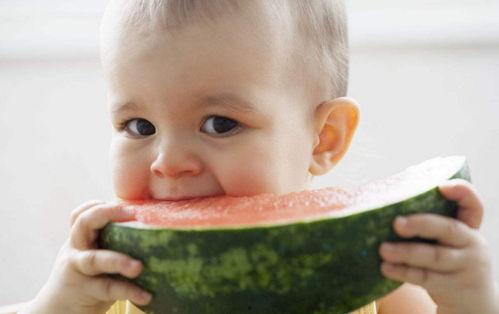 婴儿吃的瓜,宝宝辅食中的天然美味探索