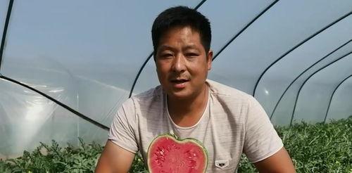 小蓝和他的朋友们吃瓜,一场欢乐的吃瓜盛宴