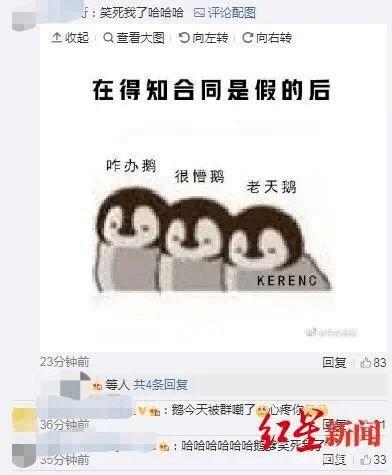 网络吃瓜视频被骗,揭秘吃瓜视频背后的骗局