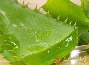 怀孕初期可以吃方瓜吗,方瓜的适宜食用指南