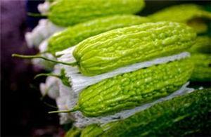 孕妇可以吃小瓜吗,小瓜的营养价值与食用建议