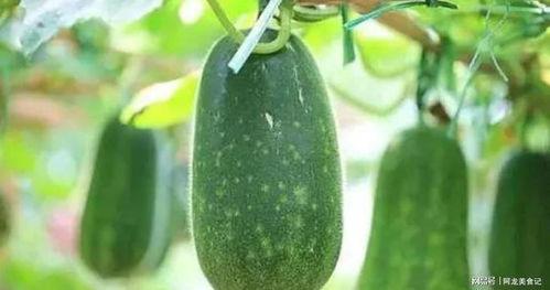 五月吃瓜月,揭秘“吃瓜月”的趣味与奥秘