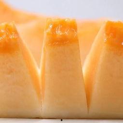 午休吃瓜,轻松吃瓜，畅享休闲时光