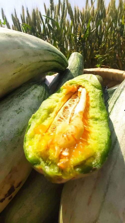 安静吃瓜王,揭秘娱乐圈幕后真相