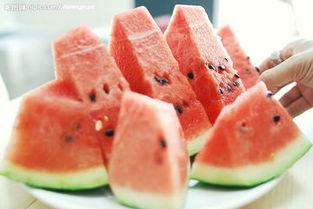 吃瓜基地9,一场别开生面的瓜界盛宴