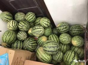 成都免费吃瓜群,免费吃瓜群带你畅享夏日欢乐时光