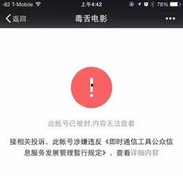 吃瓜艺术公众号,品味生活，畅享瓜界盛宴