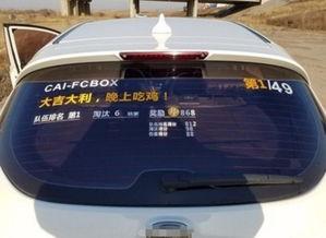 吃瓜喵车贴,趣味横生的汽车装饰新潮流