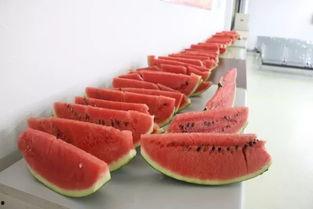 消夏吃瓜,夏日解暑美食之旅