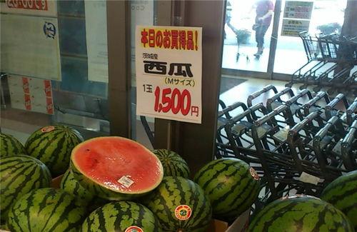 贵州职院吃瓜,揭秘校园风云录