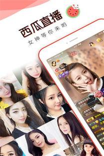 吃瓜直播下载,下载背后的热门现象与幕后故事