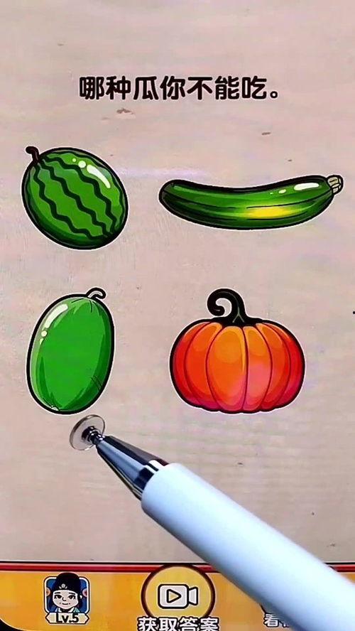 有什么瓜可以吃啊,盘点时令美味瓜类
