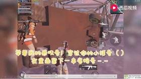 带瓜哥吃瓜游戏视频大全,笑料百出，欢乐无限