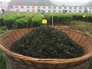 吃瓜金寨,吃瓜群众的美食之旅