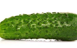 每日吃瓜东城,揭秘都市生活里的酸甜苦辣