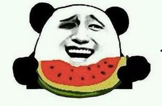 各界吃瓜事件真相