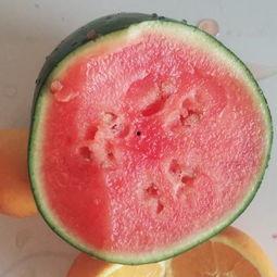 额敏吃瓜视频,揭秘当地生活百态