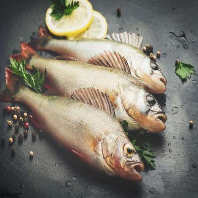 吃哈密瓜可以吃鲈鱼吗,健康美味两不误