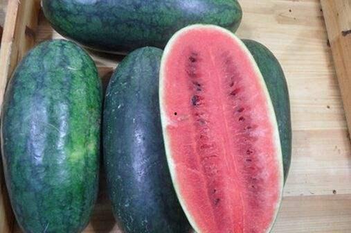 山东医专吃瓜,揭秘校园里的热点瞬间