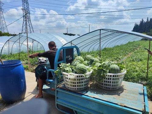 下吃瓜,吃瓜群众眼中的明星幕后故事