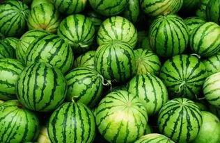 清净网络吃瓜群,揭秘“吃瓜群”的欢乐时光