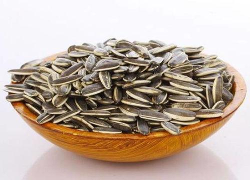 吃瓜专用瓜子配图,尽享吃瓜专用瓜子盛宴