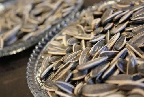 吃瓜专用瓜子配图,尽享吃瓜专用瓜子盛宴