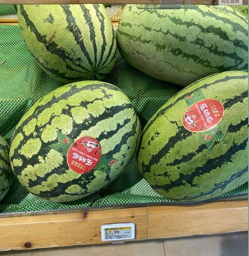 吃瓜续集二,揭秘娱乐圈背后的秘密与真相