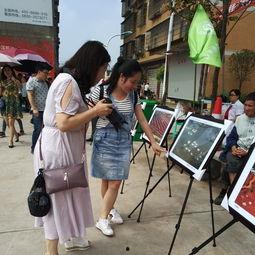 如皋吃瓜群众事件,一场网络舆论的风暴与反思